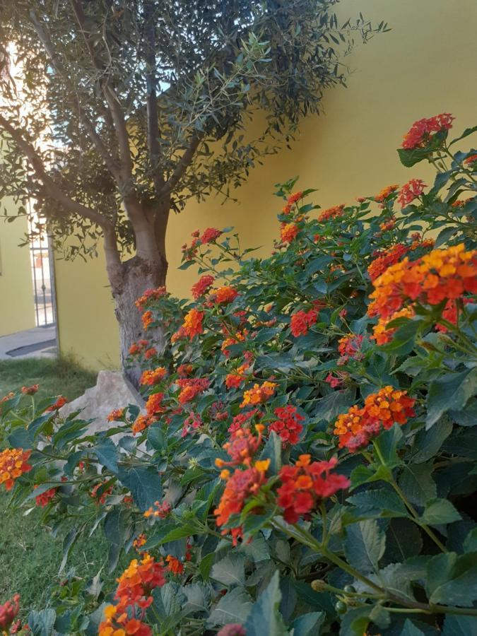 Appartamento A Pula In Zona Residenziale Экстерьер фото