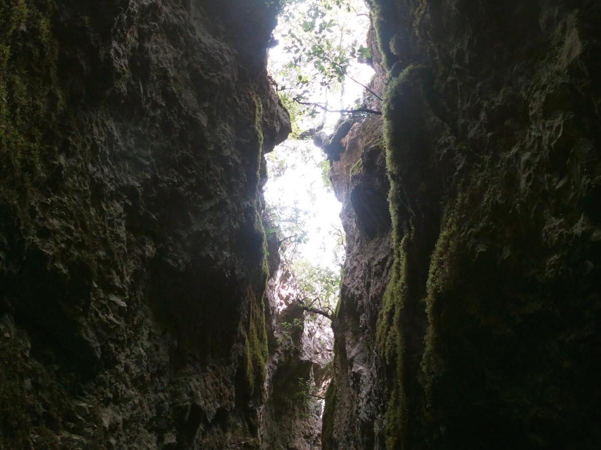 Appartamento A Pula In Zona Residenziale Экстерьер фото