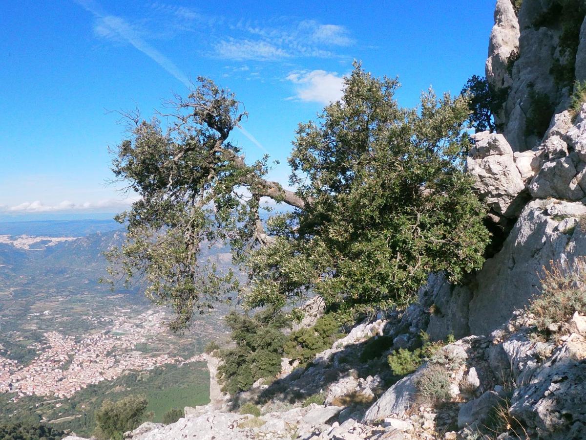 Appartamento A Pula In Zona Residenziale Экстерьер фото