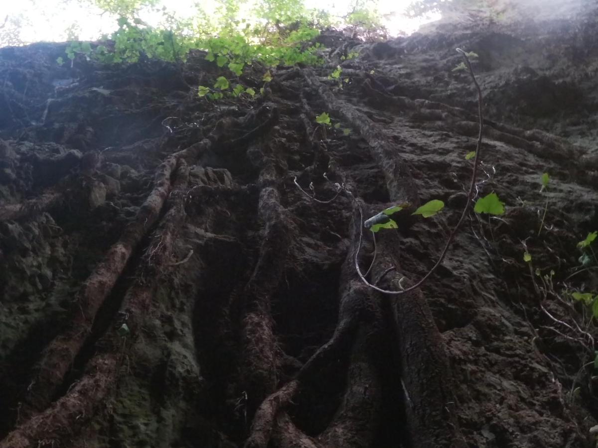 Appartamento A Pula In Zona Residenziale Экстерьер фото