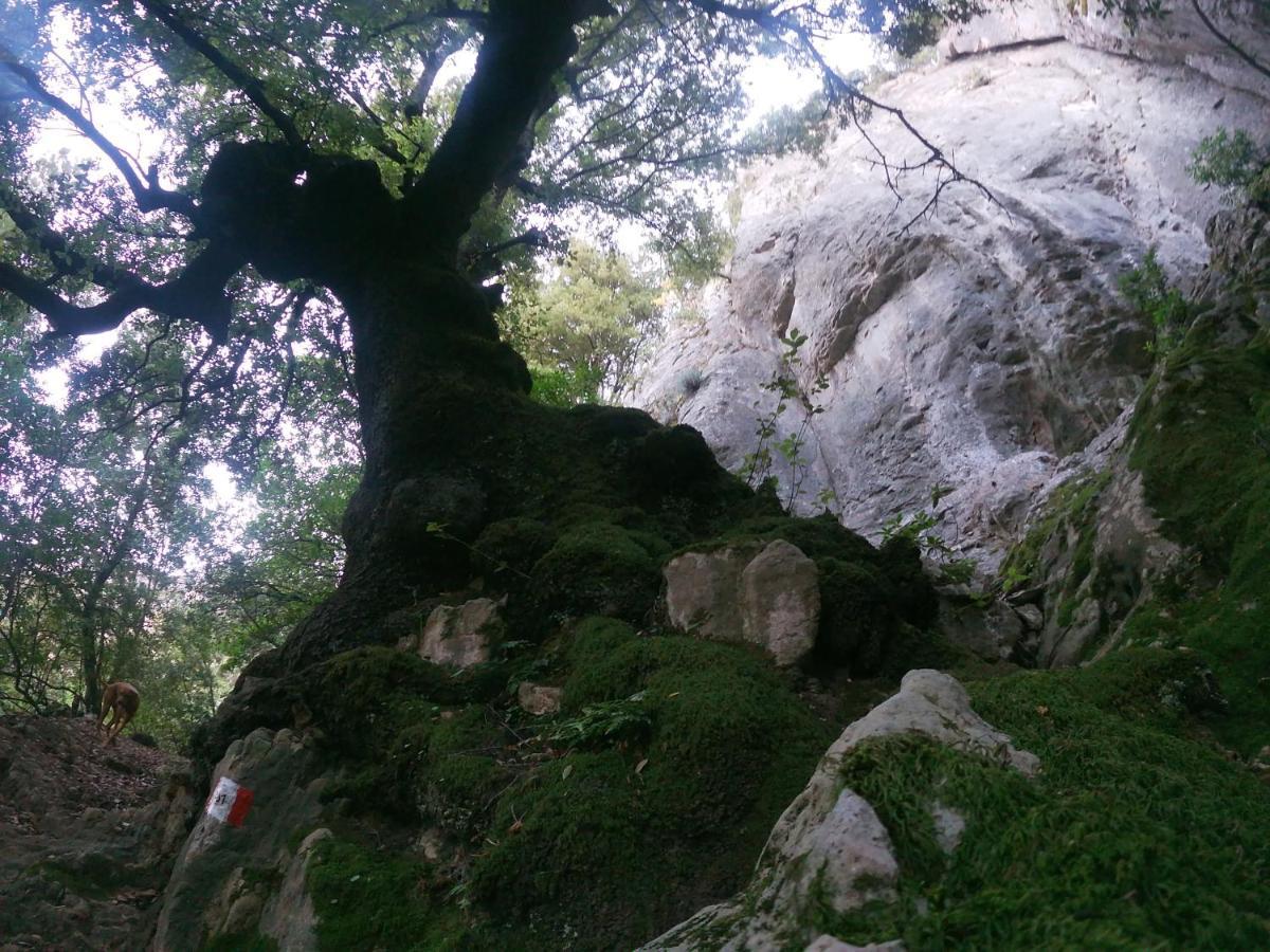 Appartamento A Pula In Zona Residenziale Экстерьер фото